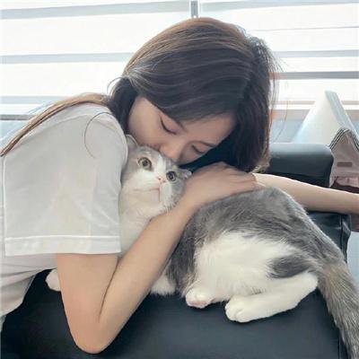 战鼎第二季