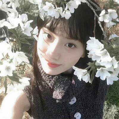 巅峰拍档第四季